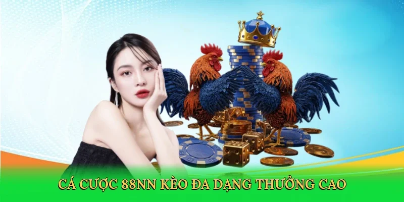 Cá cược 88NN kèo đa dạng thưởng cao