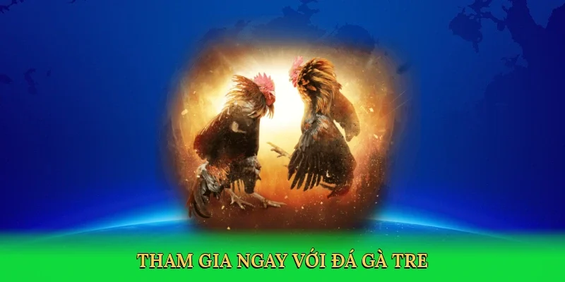 Tham gia ngay với Đá gà tre
