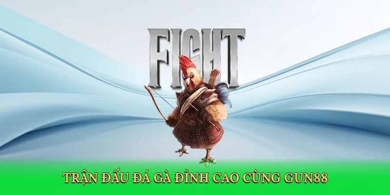 Trận đấu đá gà đỉnh cao cùng Gun88